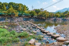 논산양촌곶감축제 - 충청남도 논산시 - 가볼만한곳 - 관광지랭킹
