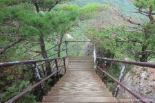 도명산 (2026) - 충청북도 괴산군 가볼만한곳 - 관광지랭킹