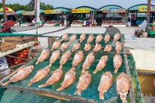 기장해녀촌(연화리횟촌) - 부산광역시 기장군 - 가볼만한곳 - 관광지랭킹