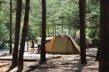 오투캐빈 - 강원특별자치도 홍천군 - 가볼만한곳 - 관광지랭킹