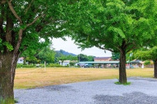충주 비내오토캠핑장 (2026) - 충청북도 충주시 가볼만한곳 - 관광지랭킹