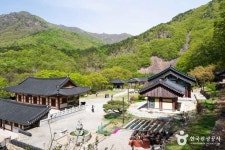 백화산(영동) (2026) - 충청북도 영동군 가볼만한곳 - 관광지랭킹