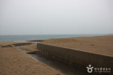 장사해수욕장 - 캠프위크
