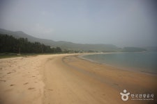 익금해수욕장 - 캠프위크