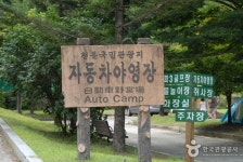 천동관광지 - 충청북도 단양군 - 가볼만한곳 - 관광지랭킹