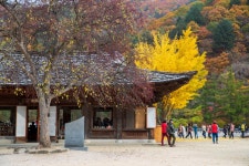 백담사 - 강원특별자치도 인제군 - 가볼만한곳 - 관광지랭킹