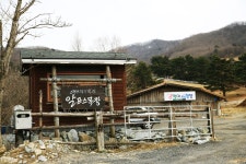 평창평화뮤직페스티벌 2020 - 강원도 평창군 - 가볼만한곳 - 관광지랭킹