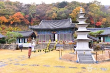 원효사(광주) (2026) - 전남광주통합특별시 북구 가볼만한곳 - 관광지랭킹