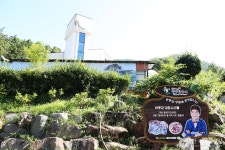 정동원길 관광 정보와 주변 관광 명소 및 근처 맛집 여행 정보