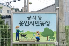 기흥 할로윈 놀이터 2019 - 경기도 용인시 기흥구 - 가볼만한곳 - 관광지랭킹