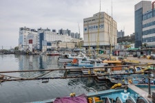 다대포항 관광 정보와 주변 관광 명소 및 근처 맛집 여행 정보