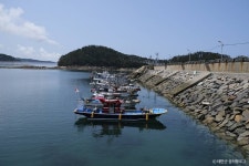 천리포항 관광 정보와 주변 관광 명소 및 근처 맛집 여행 정보