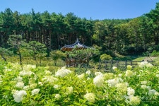 JW Spa (제이더블유스파) - Sightseeing - Korea travel and tourism information