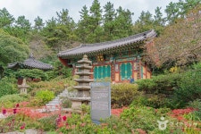 네이버 검색 결과 사진 2