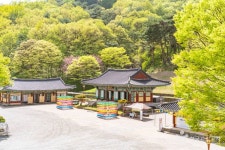 면천향교 (2026) - 충청남도 당진시 가볼만한곳 - 관광지랭킹