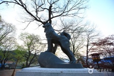 어제를 추억하고 오늘을 기록하는 남원 여행 - 전라북도 남원시 - 가볼만한곳 - 관광지랭킹
