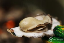Cheonbuk Oyster Complex in Boryeong (보령 천북굴단지) - Korea Tour Ranking