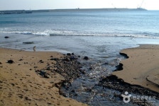 화순 금모래 해변 - 캠프위크