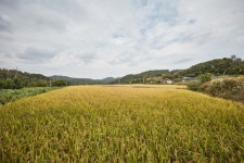 도고낚시터 - 충청남도 아산시 - 가볼만한곳 - 관광지랭킹