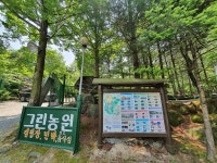 단양천동계곡캠핑장그린농원 - 충청북도 단양군 - 가볼만한곳 - 관광지랭킹