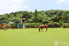 대파니힐링팜 관광 정보와 주변 관광 명소 및 근처 맛집 여행 정보