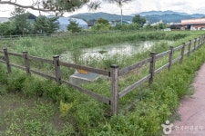 사내체육공원 관광 정보와 주변 관광 명소 및 근처 맛집 여행 정보