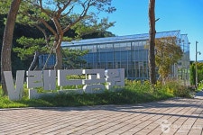보은산V랜드 관광 정보와 주변 관광 명소 및 근처 맛집 여행 정보