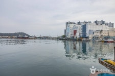 다대포항 - 부산광역시 사하구 - 가볼만한곳 - 관광지랭킹
