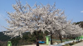 지리산유스캠프 숙박 정보와 주변 관광 명소 및 근처 맛집 여행 정보