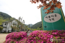 아름다운기억 - 강원특별자치도 홍천군 - 가볼만한곳 - 관광지랭킹
