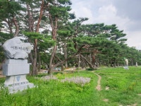 의림지 솔밭공원 - 충청북도 제천시 - 가볼만한곳 - 관광지랭킹
