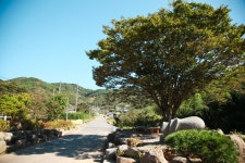 지리산둘레길 11코스 하동호~삼화실 - 경상남도 하동군 - 가볼만한곳 - 관광지랭킹