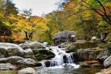 내원사계곡(양산) 관광 정보와 주변 관광 명소 및 근처 맛집 여행 정보
