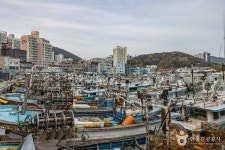 다대포항 (2026) - 부산광역시 사하구 가볼만한곳 - 관광지랭킹