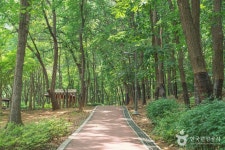 방화근린공원 관광 정보와 주변 관광 명소 및 근처 맛집 여행 정보