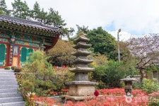 네이버 검색 결과 사진 3