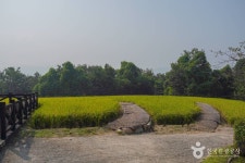 이천농업테마공원 (2026) - 경기도 이천시 가볼만한곳 - 관광지랭킹