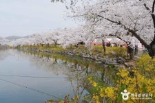 교동 연화지 (2026) - 경상북도 김천시 가볼만한곳 - 관광지랭킹