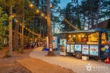 Foto aus Naver-Suchergebnissen 3