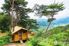 숲의하루 (2026) - 경상남도 밀양시 가볼만한곳 - 관광지랭킹