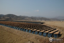 풍기인삼시장 - 경상북도 영주시 - 가볼만한곳 - 관광지랭킹