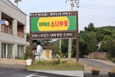 진짜원조소나무집 - 경기도 안산시 단원구 - 가볼만한곳 - 관광지랭킹
