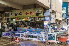 강구시장 (2026) - 경상북도 영덕군 가볼만한곳 - 관광지랭킹