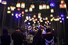 담양 대나무축제 (2026) - 전남광주통합특별시 담양군 가볼만한곳 - 관광지랭킹