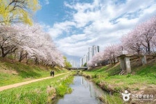 봉수대해변 관광 정보와 주변 관광 명소 및 근처 맛집 여행 정보