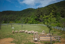 도이쳐 임비스 - 경상남도 남해군 - 가볼만한곳 - 관광지랭킹