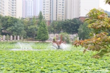 봉담 호수공원 - 경기도 화성시 - 가볼만한곳 - 관광지랭킹