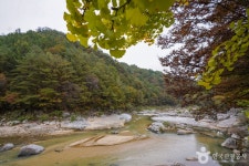 사미정계곡 (2026) - 경상북도 봉화군 가볼만한곳 - 관광지랭킹