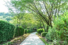 안곡습지공원 관광 정보와 주변 관광 명소 및 근처 맛집 여행 정보