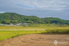 꽃뜰펜션 - 전라남도 보성군 - 가볼만한곳 - 관광지랭킹